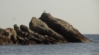 Why do I write about Greek beaches? Social Distancing!