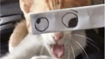 Silent Wars: The Acoustic Kitty