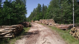 A short report from the Kraków-Częstochowa Upland