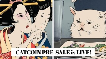 CATCOIN PRE-SALE is LIVE! 11.11 11:11 🐱🚀🌙
