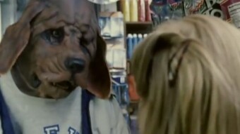 The Dog from Tallahassee (TallyHoWallet securely Unmasking the Meta)