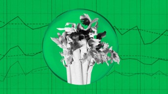 Celer Network (CELR): Price Updates, Technical analysis, Recent Developments, Future Events, Community