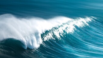Riding the TEZOs Wave