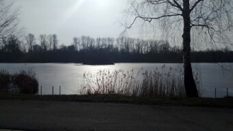 Very nice, almost warm spring day - My Actifit Report Card: February 25 2025