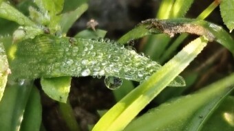 WATER DROPS Photography.