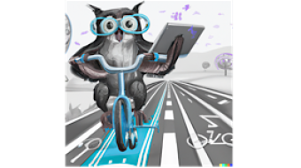 NFTraining Wheels