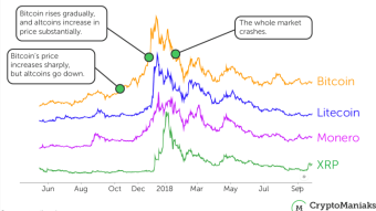 Crypto Market Dynamics
