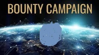 How to make the best of bounty campaign articles
