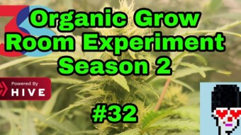 Organic Grow Room Living Soil Experiment Season 2 #32 - Peppers