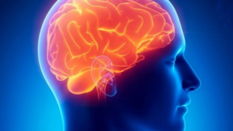 The brain can heal itself from stroke and depression