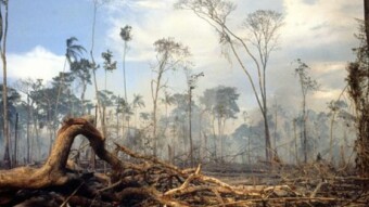 Our Environment Today