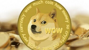 Binance is over, what should I do with my Dogecoin?