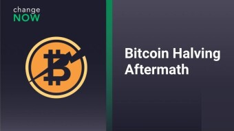 Bitcoin Halving 2024 Aftermath: Unveiling the Cryptocurrency Landscape