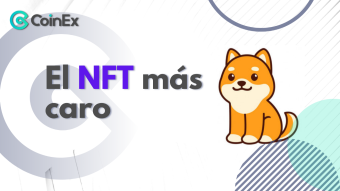 Instituto CoinEx: ¡Qué locura: cómo la fraccionalización da lugar al NFT más caro de la historia!