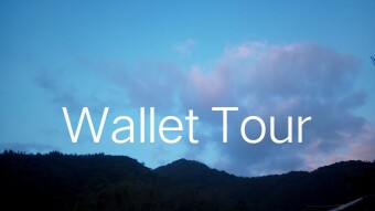 Wallet Tour: Glimpse on my wallet