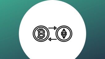 Is maximalism healthy for cryptocurrency and blockchain adoption?