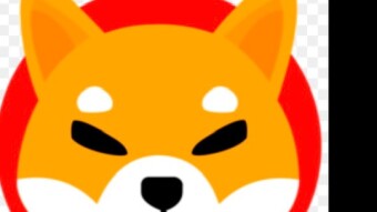 SHIBARMY: How to connect your app  MetaMask to Shibaswap and stake SHIB