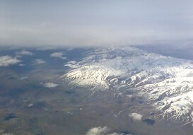 '7 Dogs at 30,000 feet'