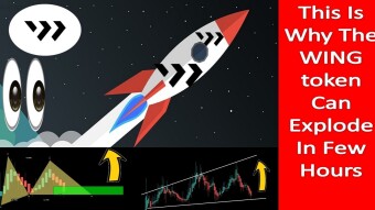 This Is Why The WING token Can Explode In Few Hours