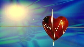 Fitness: 19th April 2021 + A Did You Know Health Question