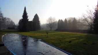 Today's encounter with morning fog thick and white as milk - My Actifit Report Card: December 28, 2024