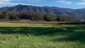 Weekend Fun -- Tennessee Style