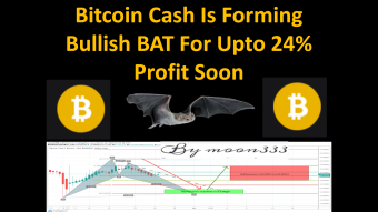 Bitcoin Cash Is Forming Bullish BAT For Upto 24% Profit Soon