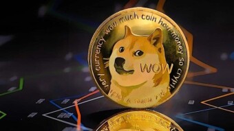 Latest Updates for the Top Two Meme Coins