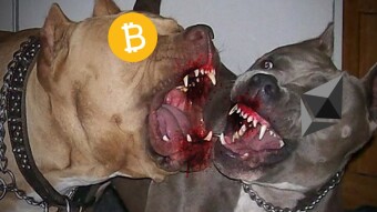 ¿Is it better to start an advertising campaign paying with Bitcoin or with Ethereum?