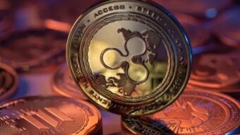 XRP Whales Fueled the Price Drop