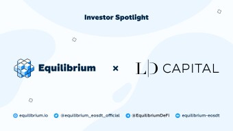 Introducing Equilibrium Strategic Investor: LD CAPITAL