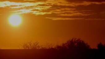 5 Ideas to improve the end of 2020