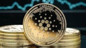 "Cardano’s Chang Hard Fork Delayed Until September – Here is Why"