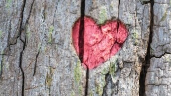 120 : Love