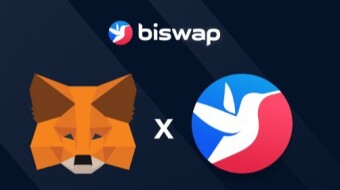 BiSwap Update - Have you used this DEX yet?