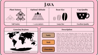 Conscious Caffeine #14 - Java