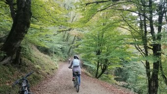 The Day My Bike got Punctured in The Middle of the Road
