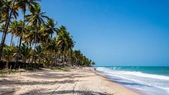 Do You Want the "Good Life" in 2021? Then Read This Article!