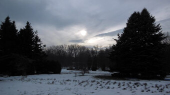 Today it's a bit colder and the sun is behind the fog, but it's pleasant