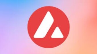Avalanche Foundation Explores Meme Coin Surge for Portfolio Expansion