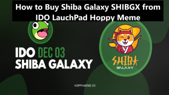 How to Purchase Meme IDO token Shiba Galaxy SHIBGX from IDO LauchPad Hoppy Meme