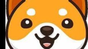 BabyDogecoin: A profitable poem it's borning here!