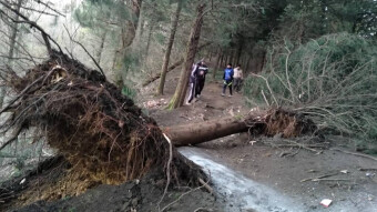 Mountain Hiking & The Tragedy of Storm