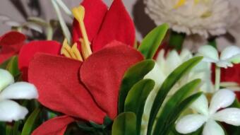 Artificial flowers photography