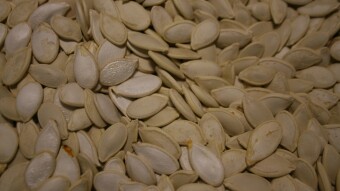004 – Besides cryptos and precious metals why not seeds?