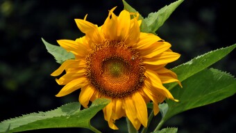My Photography