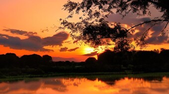 The Mornings Symphony