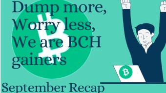 Dump More, Worry Less, We Are BCH Gainers (September Recap)