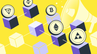 Who Let the Blocks Out? StealthEX Crypto Newsletter — Issue #29
