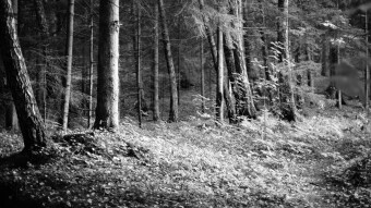 My favourite B&W photos pt. 3